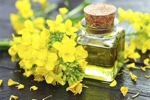 Aceite de jengibre en cosmetología.