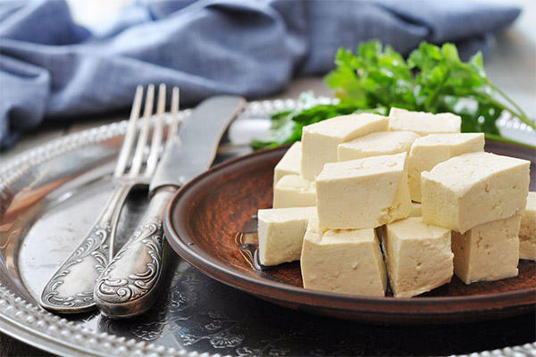 Cosa mangiare con il formaggio tofu