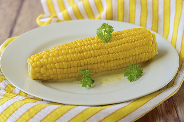 Combien de maïs bouilli puis-je manger par jour