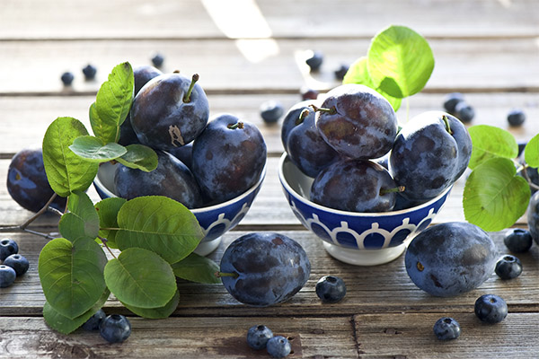 Plum dalam perubatan