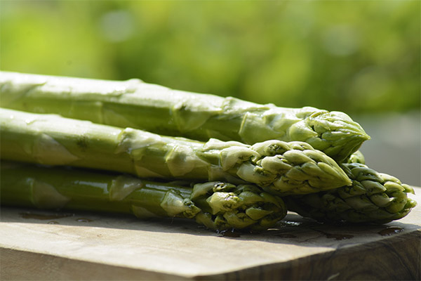 Asperges in de geneeskunde