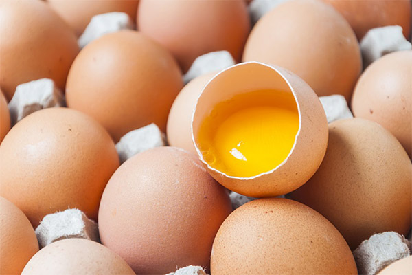 Holdbarhet på rå egg