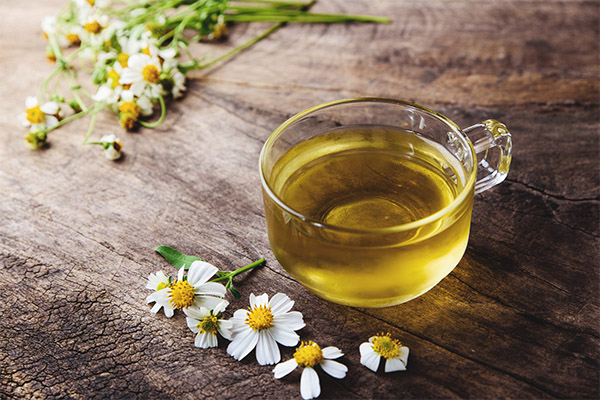 What is useful infusion of chamomile