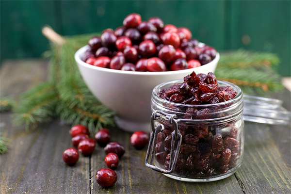 Was ist die Verwendung von getrockneten Preiselbeeren