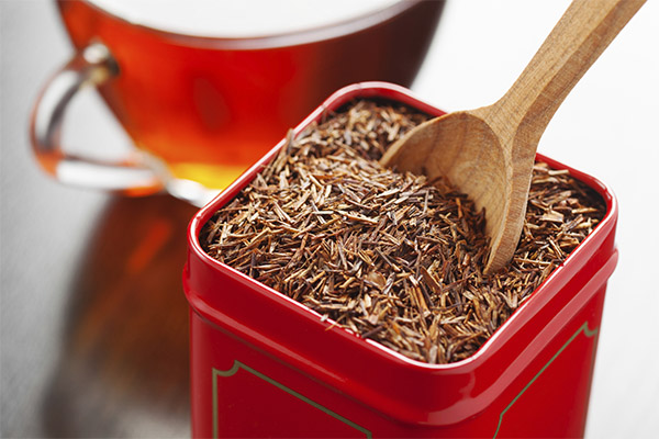 Fatos interessantes sobre rooibos