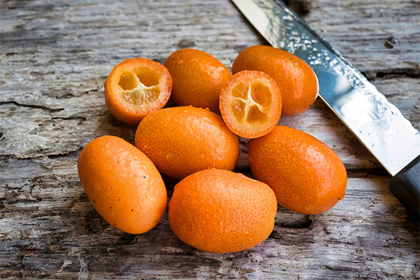 Interesting Kumquat Facts