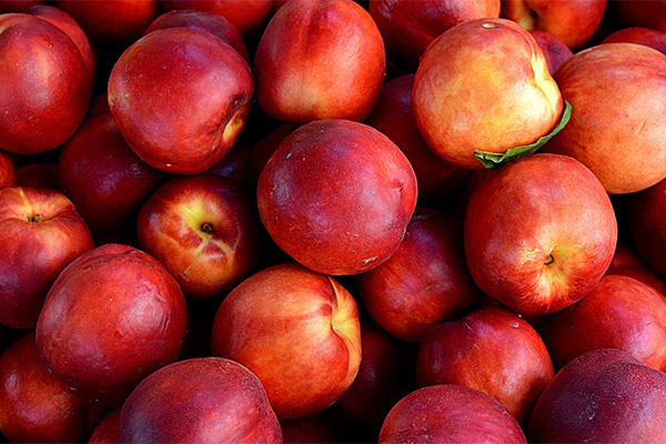 Interessante feiten over nectarine