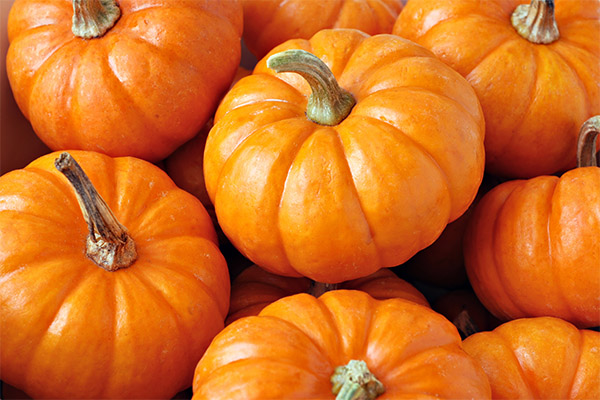 Interesting facts about pumpkin