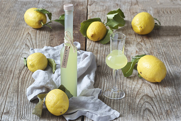 Como beber limoncello