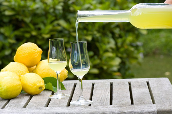 How to drink limoncello