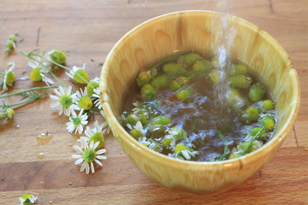 How to make chamomile infusion