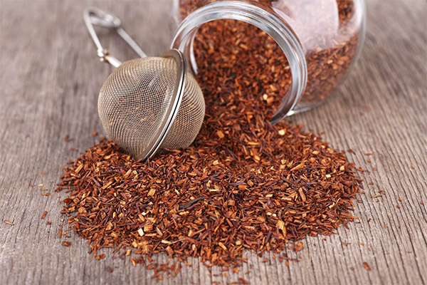 כיצד לבחור ולאחסן תה rooibos