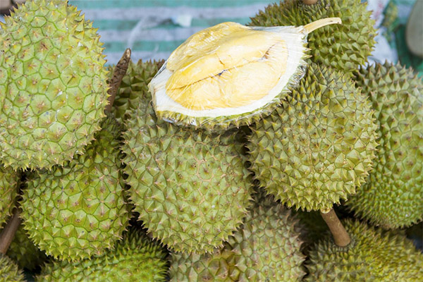 Cara memilih dan menyimpan durian