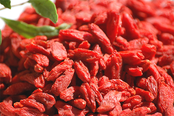 Comment choisir et conserver le goji