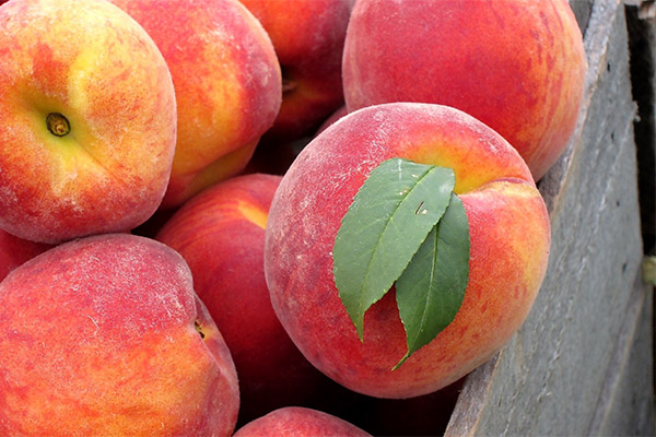 How to choose and store peaches