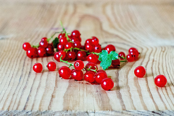 Rote Johannisbeere in der Kosmetik