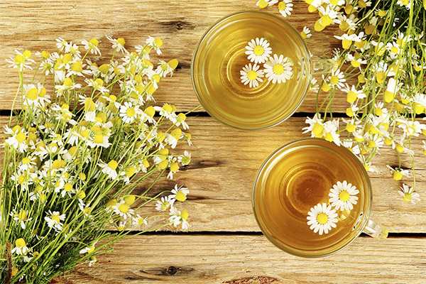 Chamomile infusion in medicine