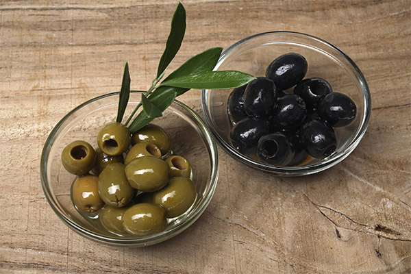 Olives (olives) in medicine