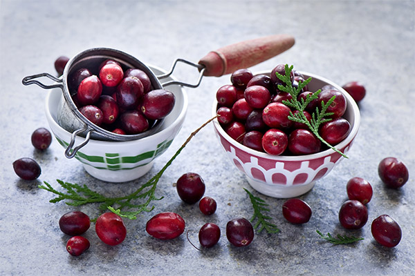 Die Vor- und Nachteile von Preiselbeeren