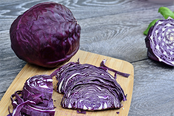 Die Vor- und Nachteile von Rotkohl