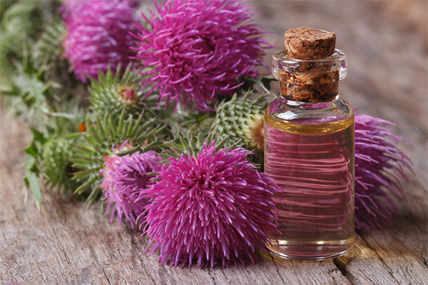 The benefits and harms of milk thistle oil