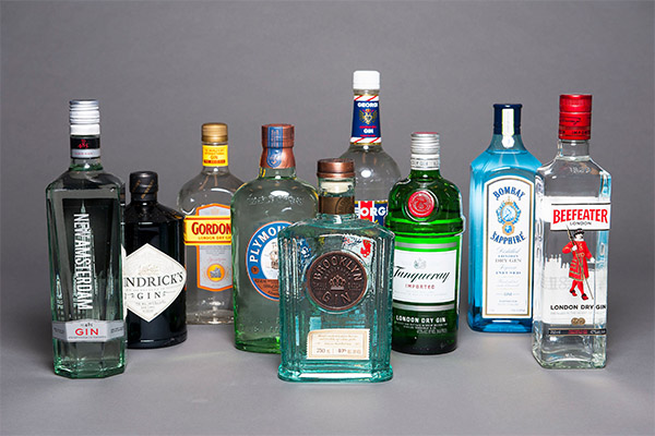 Popular brands of gin