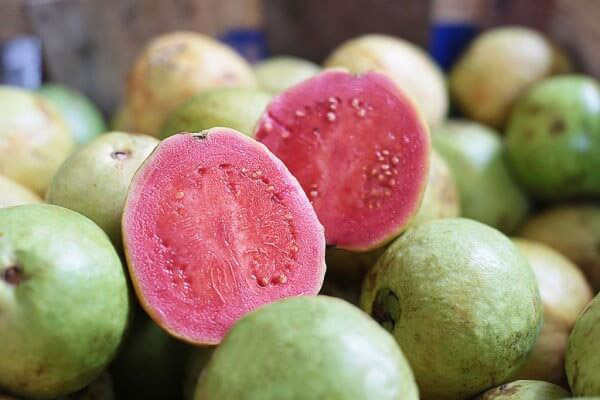 El uso de la guayaba en la medicina tradicional.