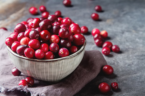 Receitas de medicina tradicional à base de cranberry