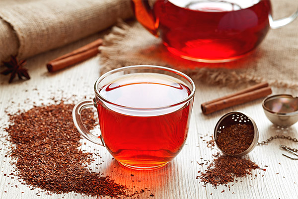 Rooibos in medicine