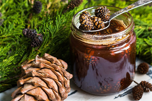 Confiture de pomme de pin au miel