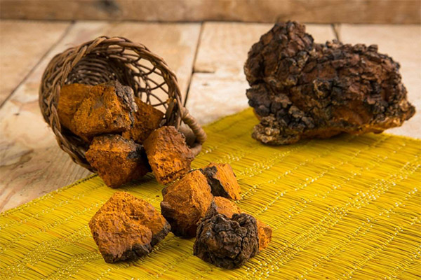 Types of medicinal compounds with chaga