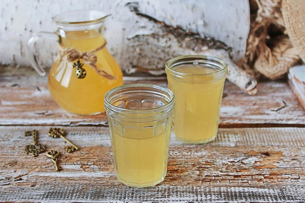 Birch Kvass