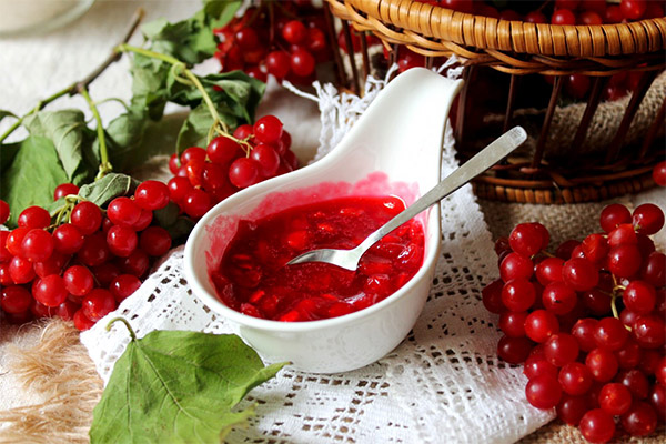 Was ist nützliche Marmelade aus Viburnum