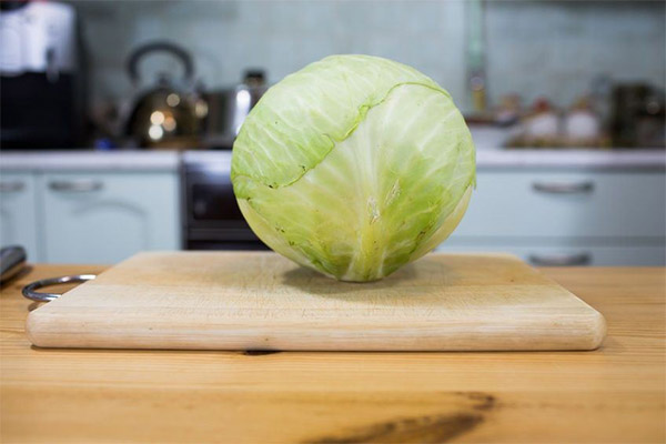 ¿Qué se puede preparar con repollo blanco?