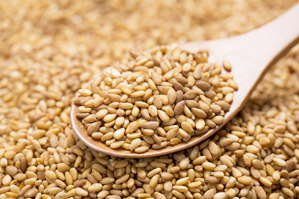 Interesting facts about sesame seeds