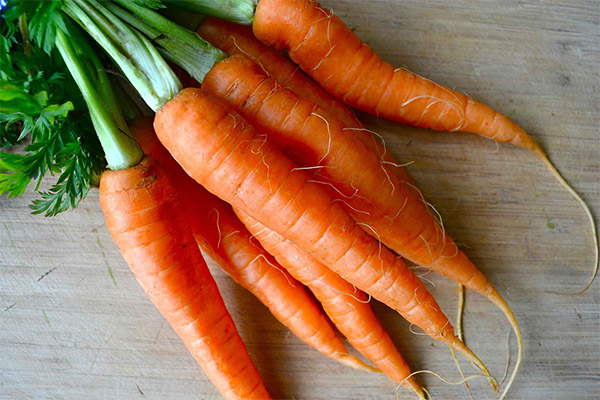 Interesting facts about carrots