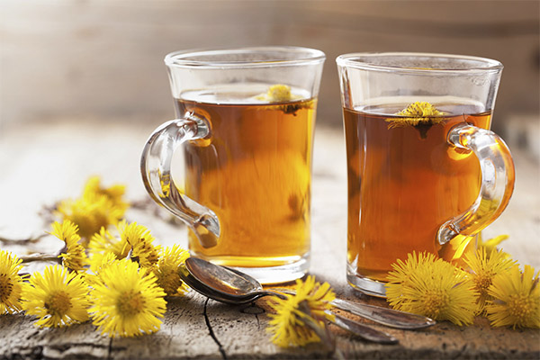 Cara minum teh dandelion