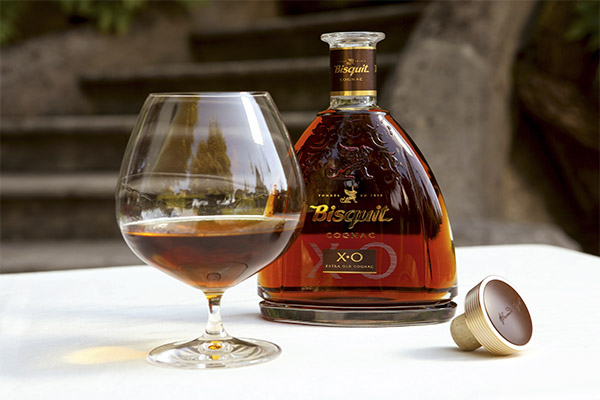 How to drink cognac