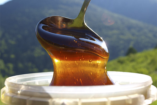 How to choose and store mountain honey