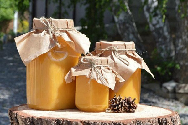 How to choose and store forest honey