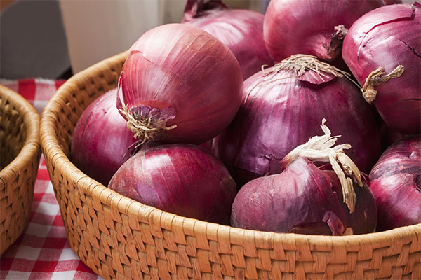 How to choose and store blue onions