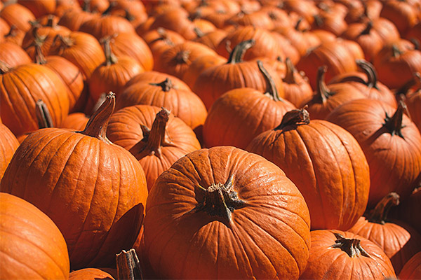 Cómo elegir una calabaza para mermelada