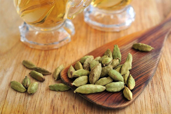 Come preparare il tè al cardamomo