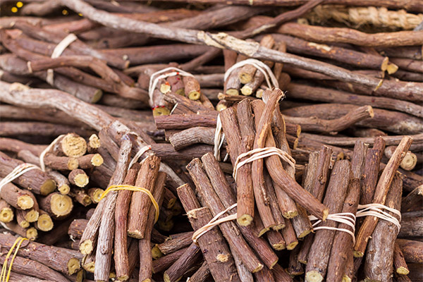 The healing properties of licorice root