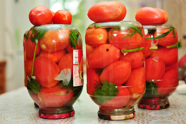 Tomates em conserva