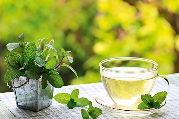 Té de menta en medicina