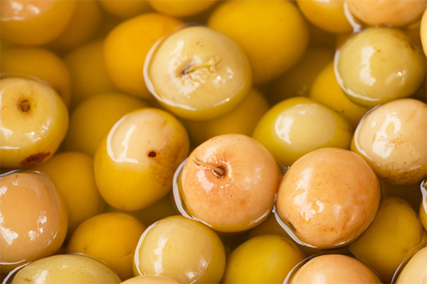 Soaked apples in a barrel