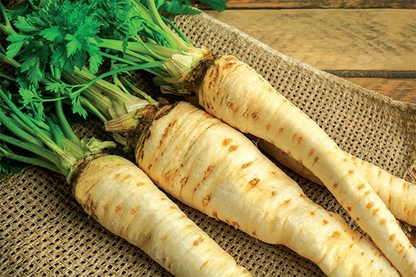 Parsnip en la medicina tradicional