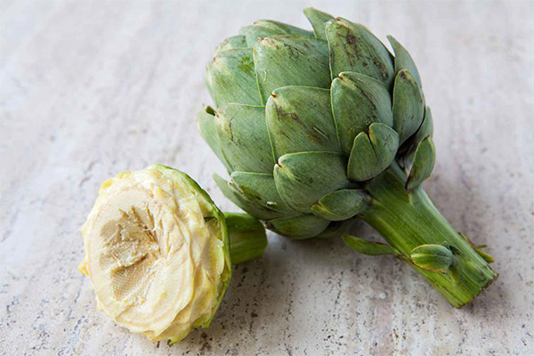 Sifat artichoke yang berguna