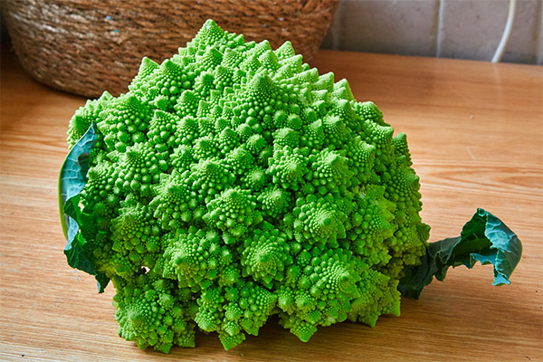 The benefits and harms of cabbage Romanesco